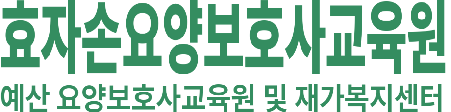 효자손요양보호사교육원 로고 이미지